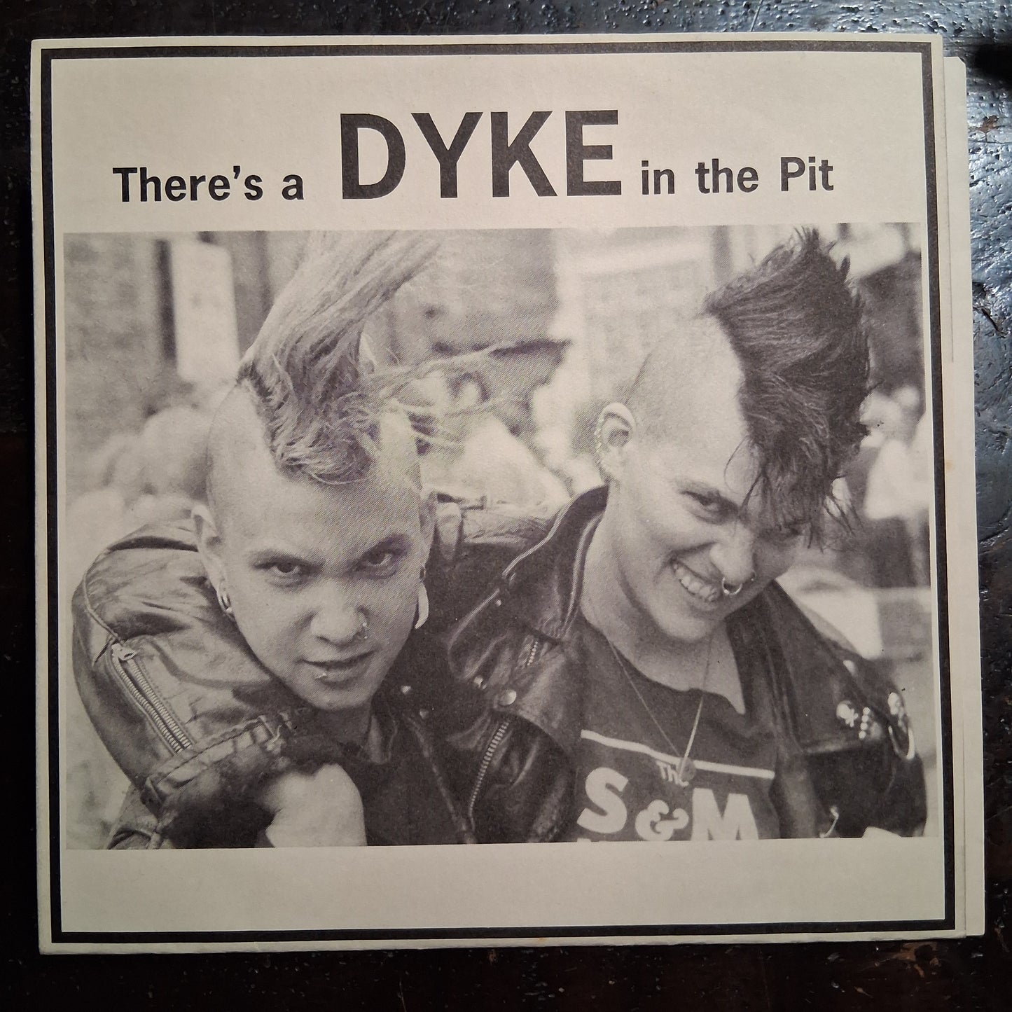 There's A Dyke In The Pit - VA (Bikini Kill, Tribe 8, 7 Year Bitch, Luca Stoners) - 7inch