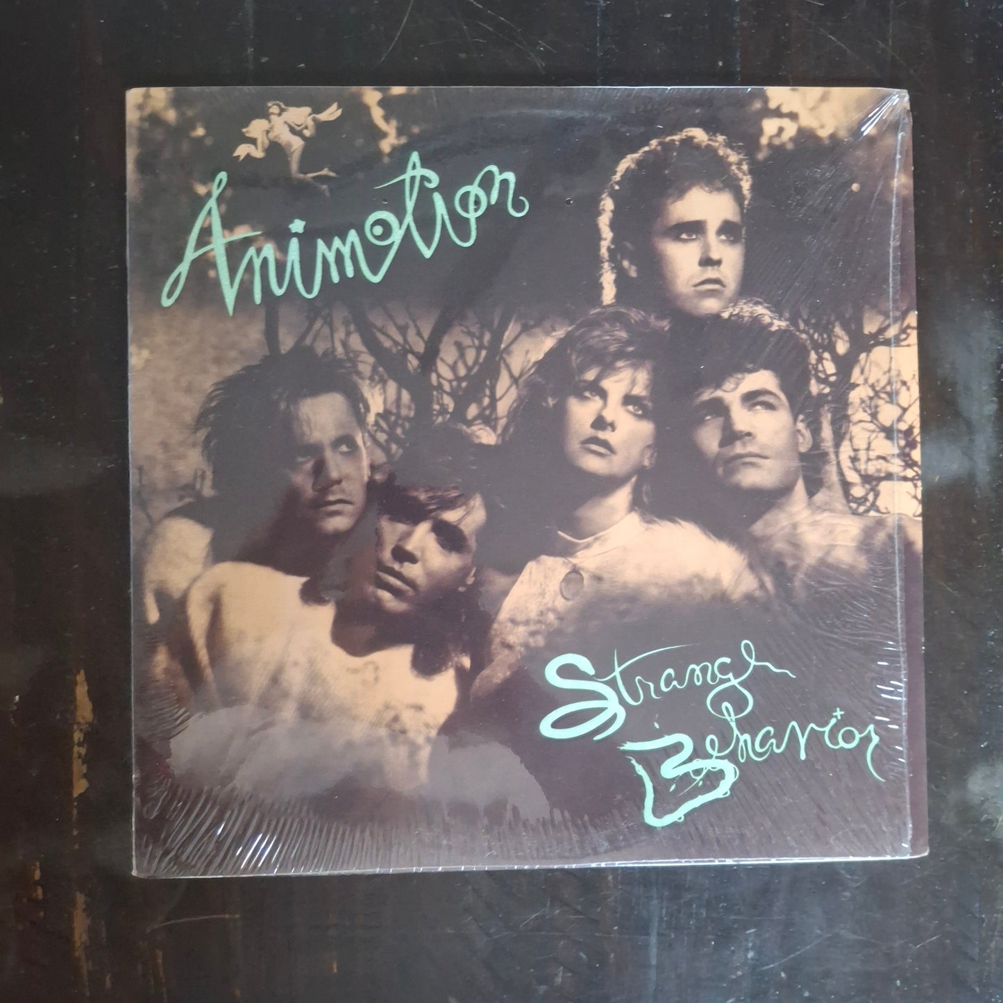 Animotion – Strange Behavior - LP