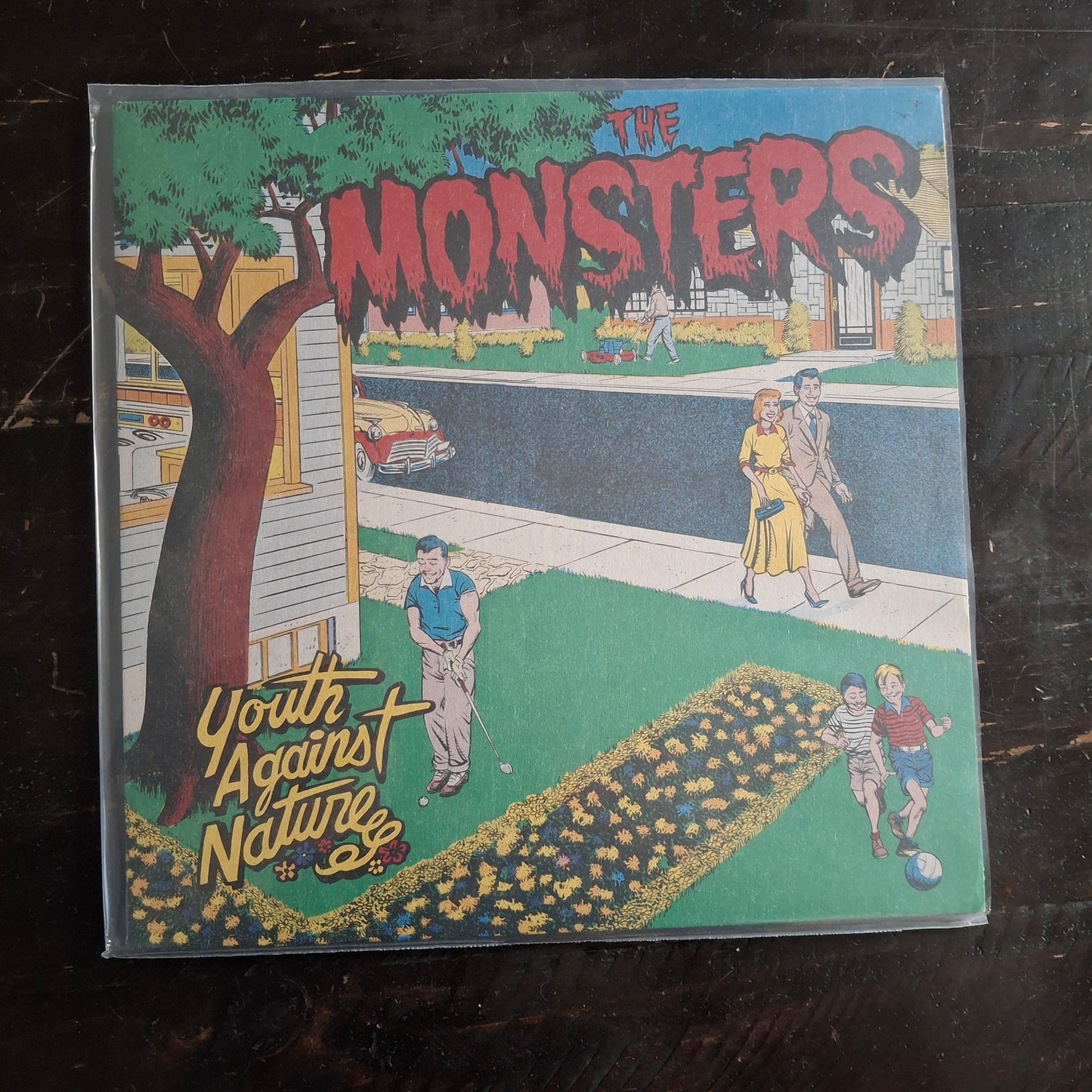 The Monsters - Youth Against Nature -LP